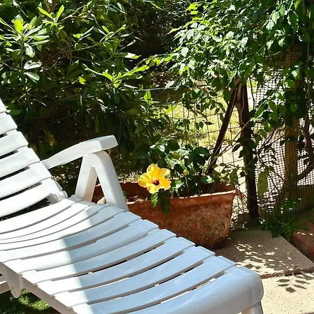 M341 - Marcelli, Trilocale Con Giardino A Due Passi Dal Mare Marcelli
